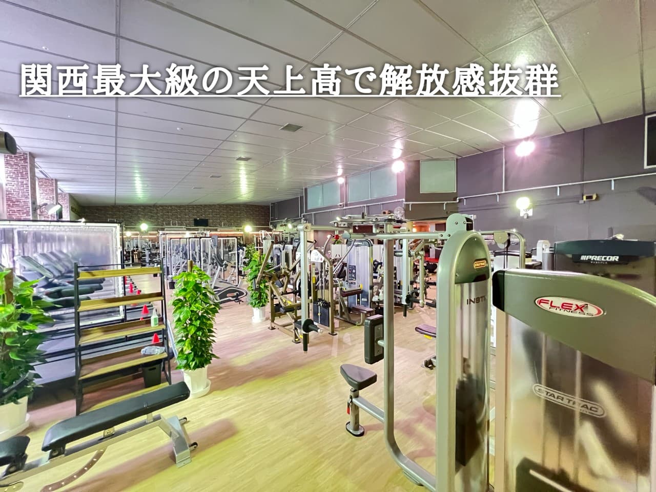 ゴールドジム草津滋賀の施設写真