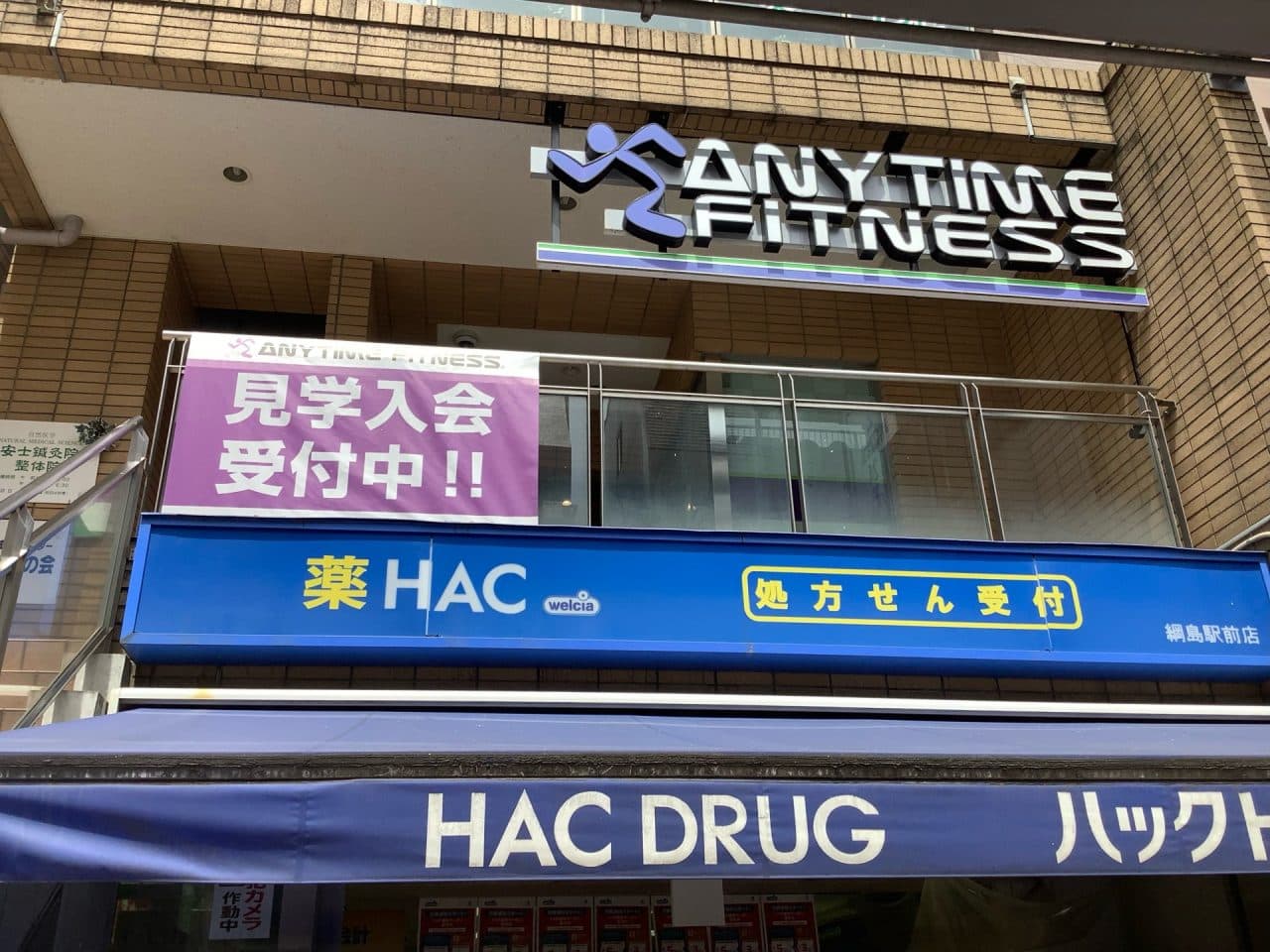 Anytime Fitness 綱島店