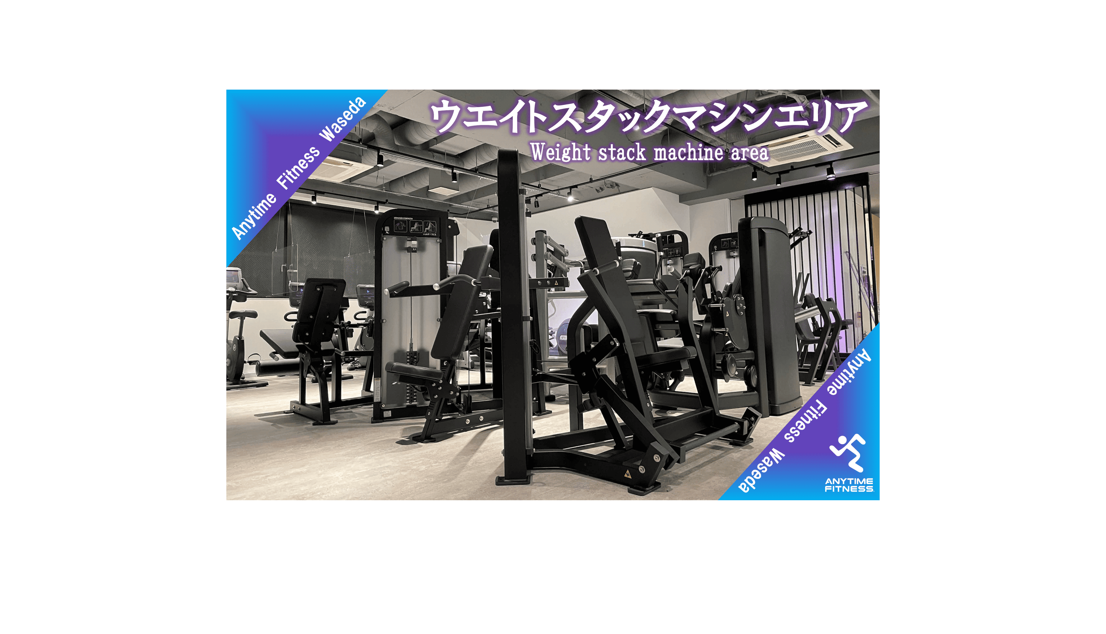 早稲田店 店舗写真 3