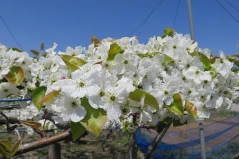 第30回 県レク大会・くつの日記念ウオーク 5/7㎞